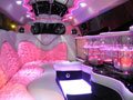 �������-������� - �������� � ���������