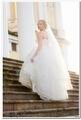����� ����� - ���������