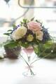 ������ ���������� TaniStar