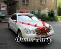 ������ Dimm Party - ���������